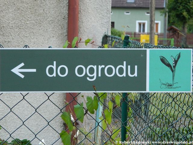 Ogród - herbarium przy Szpitalu Św. Ducha, Frombork Ogród - herbarium przy Szpitalu Św. Ducha we Fromborku