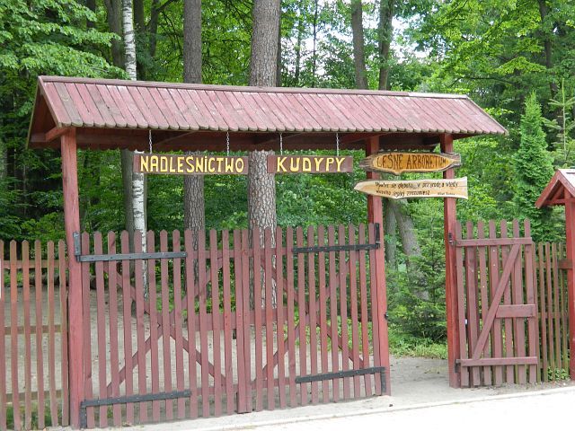 Arboretum Kudypy Arboretum w Kudypach