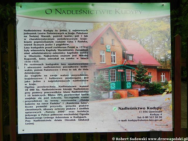 Arboretum Kudypy Arboretum w Kudypach