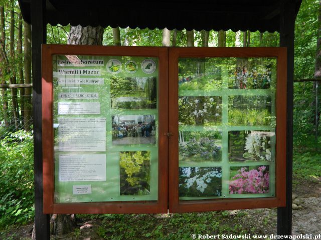 Arboretum Kudypy Arboretum w Kudypach