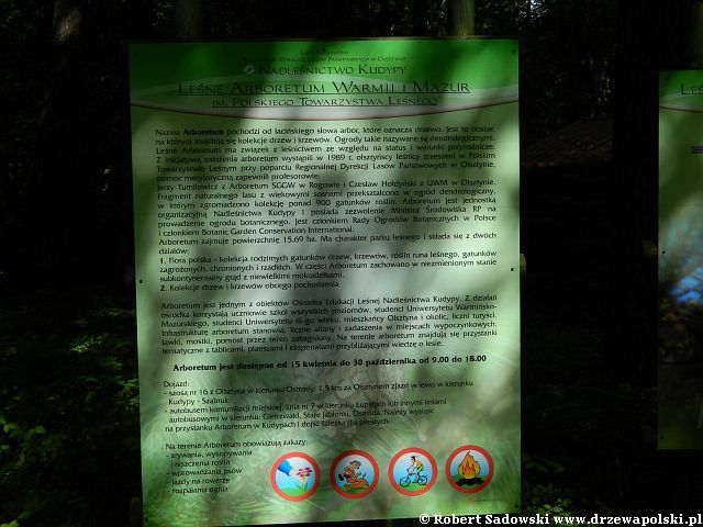 Arboretum Kudypy Arboretum w Kudypach