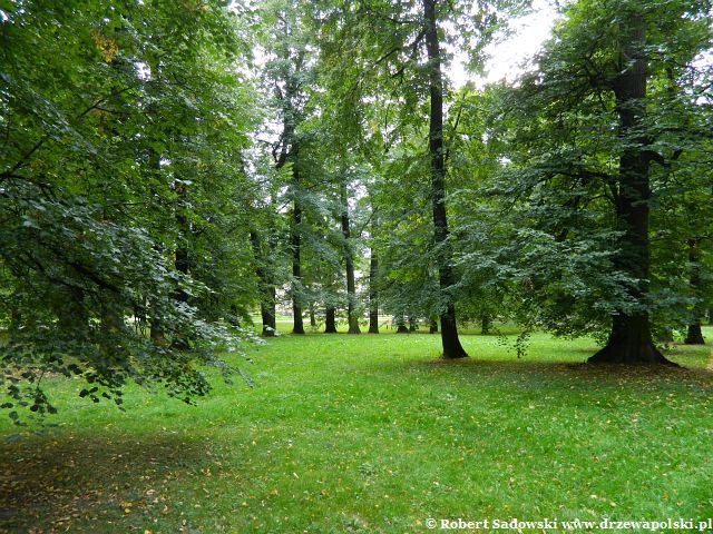 Park Kombatantów Park Kombatantów