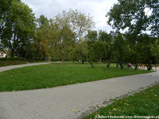 Park Kombatantów Park Kombatantów