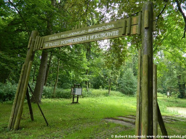 Rusowo - Park podworski Rusowo - Park podworski