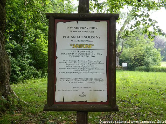 Rusowo - Park podworski Rusowo - Park podworski