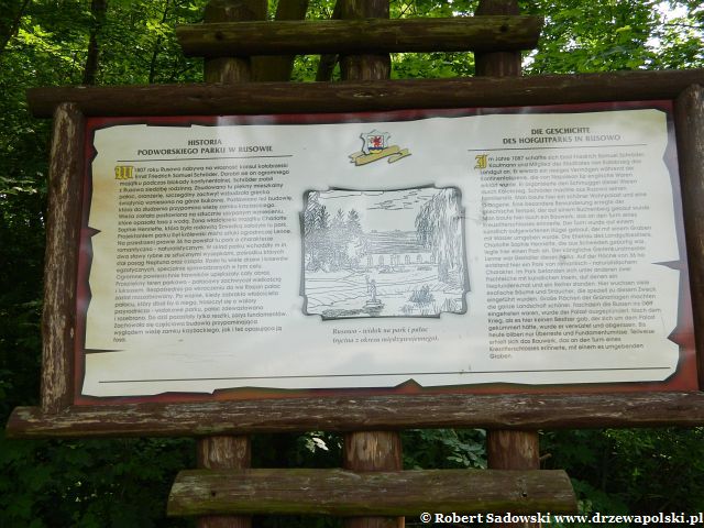 Rusowo - Park podworski Rusowo - Park podworski