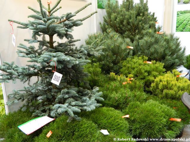 Wystawa Zieleń to Życie edycja 2012 Wystawa Zieleń to Życie edycja 2012