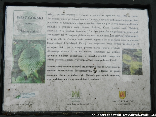 tablica w Parku Dittricha tablica w Parku Dittricha