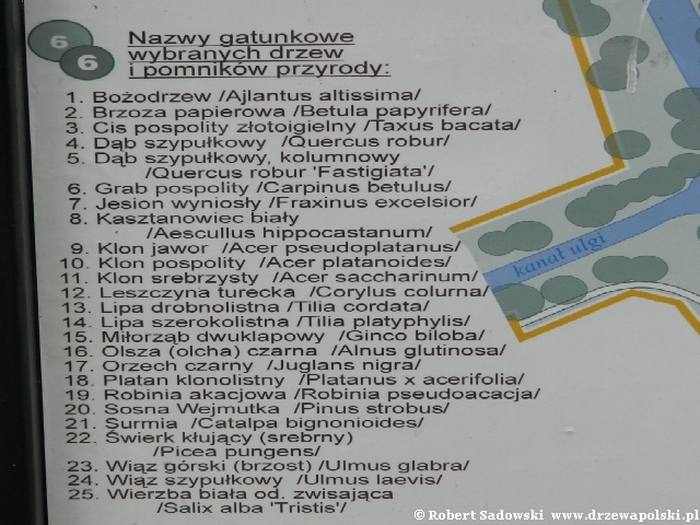 tablica w Parku Dittricha tablica w Parku Dittricha