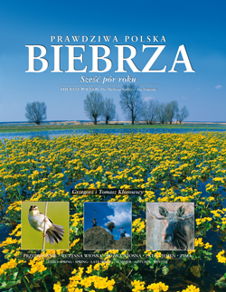PRAWDZIWA POLSKA - BIEBRZA SZE PR ROKU