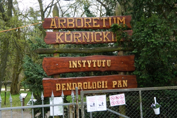 Wejście do arboretum w Kórniku