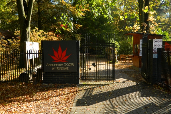 Wejście do arboretum w Rogowie