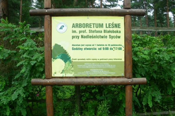 Wejście do arboretum w Sycowie