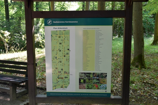 Arboretum w Karnieszewicach - plan arboretum