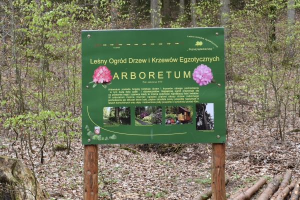 Arboretum w Lądku-Zdroju - tablica informacyjna