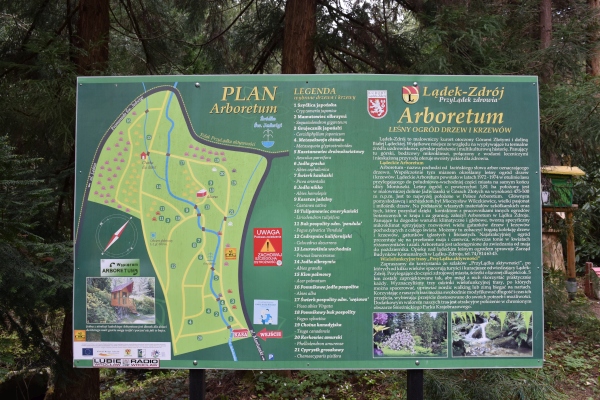 Arboretum w Lądku-Zdroju - plan arboretum