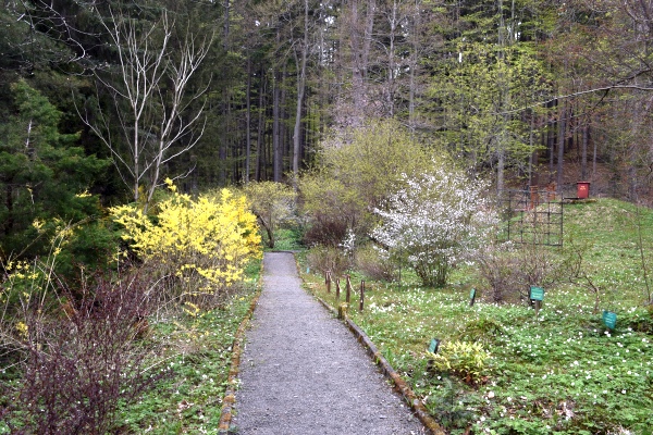 Arboretum w Lądku-Zdroju