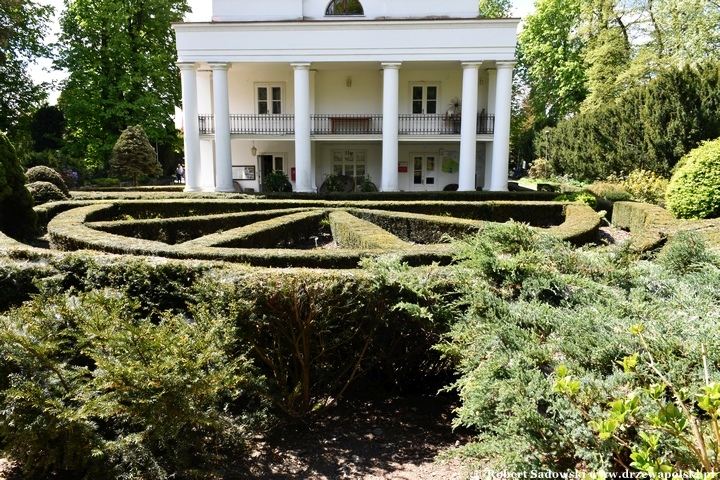 Arboretum Bolestraszyce