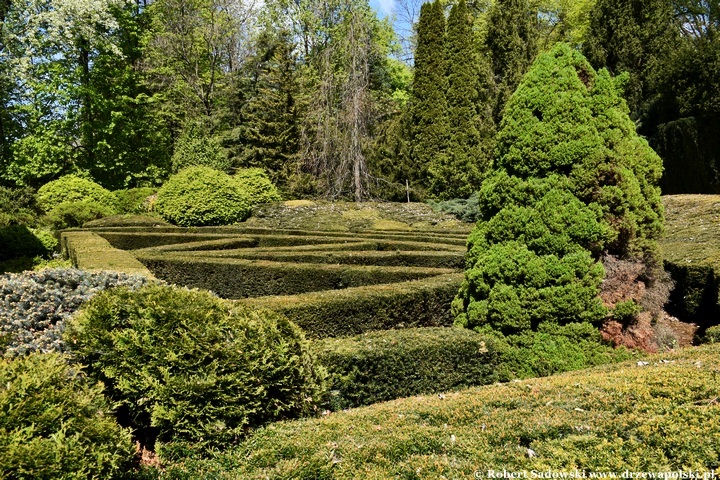 Arboretum Bolestraszyce