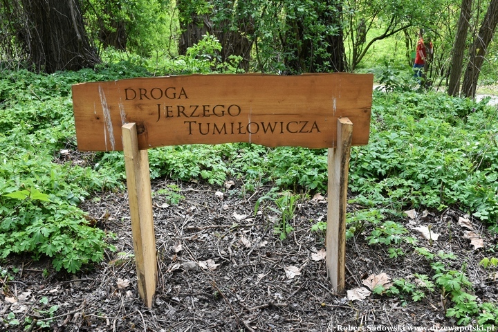 Arboretum Bolestraszyce