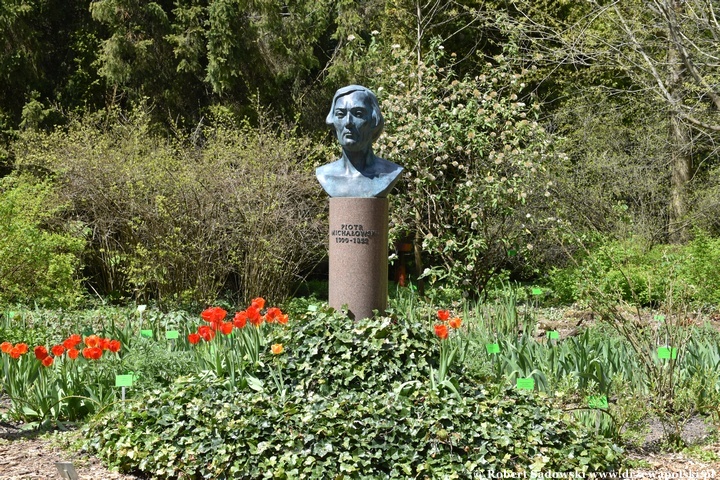 Arboretum Bolestraszyce