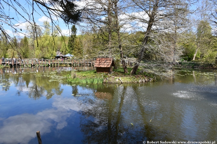 Arboretum Bolestraszyce
