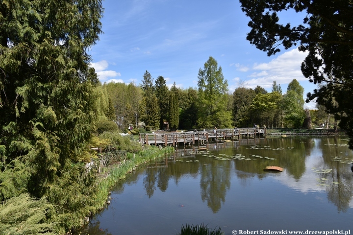 Arboretum Bolestraszyce