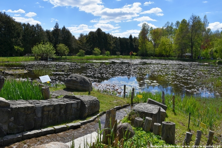 Arboretum Bolestraszyce