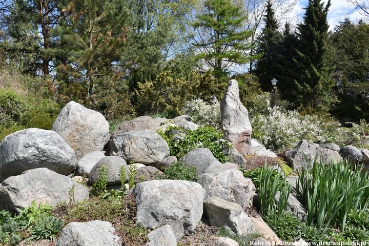 Arboretum Bolestraszyce