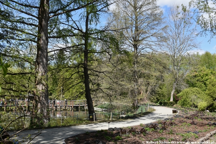 Arboretum Bolestraszyce
