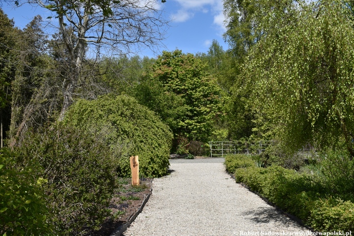 Arboretum Bolestraszyce