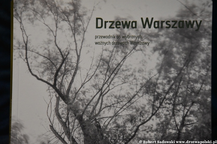 Drzewa Warszawy - przewodnik