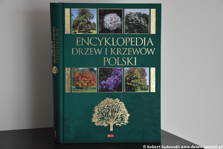 Encyklopedia drzew i krzewów Polski