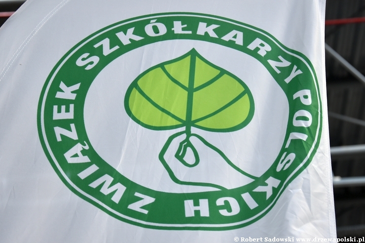 logo z trendem Folk Botanical