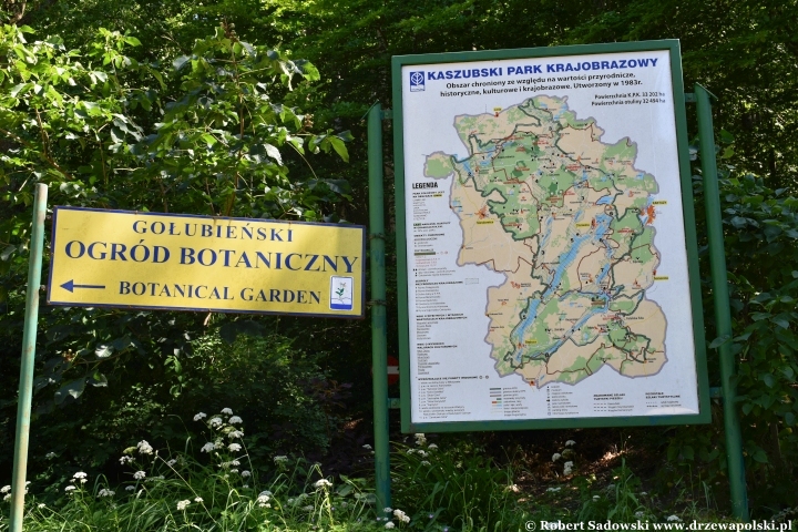 Ogród Botaniczny w Gołubiu Ogród Botaniczny w Gołubiu