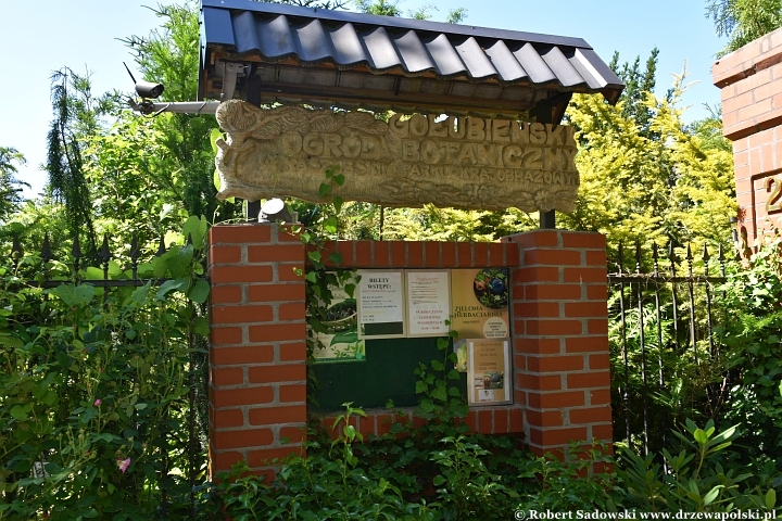 Ogród Botaniczny w Gołubiu Ogród Botaniczny w Gołubiu