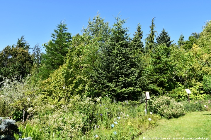 Ogród Botaniczny w Gołubiu Ogród Botaniczny w Gołubiu