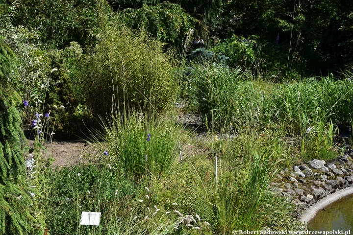 Ogród Botaniczny w Gołubiu Ogród Botaniczny w Gołubiu