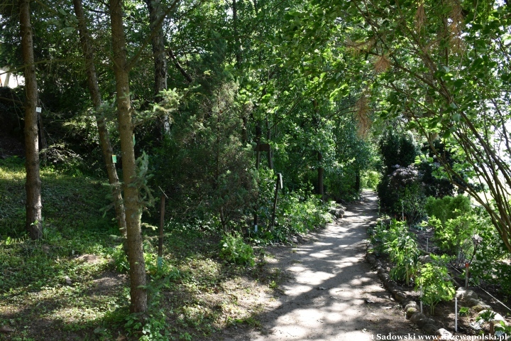 Ogród Botaniczny w Gołubiu Ogród Botaniczny w Gołubiu