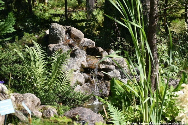 Ogród Botaniczny w Gołubiu Ogród Botaniczny w Gołubiu