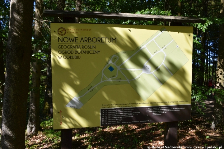 Ogród Botaniczny w Gołubiu Ogród Botaniczny w Gołubiu