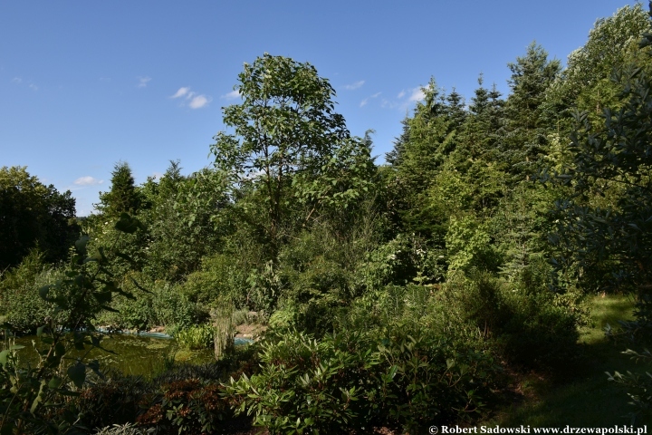 Ogród Botaniczny w Gołubiu Ogród Botaniczny w Gołubiu