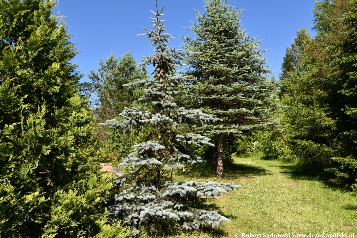 Ogród Botaniczny w Gołubiu Ogród Botaniczny w Gołubiu