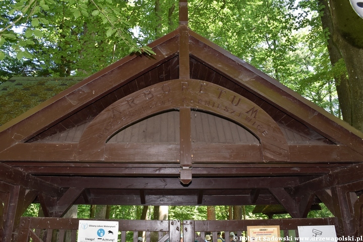 Arboretum Karnieszewice