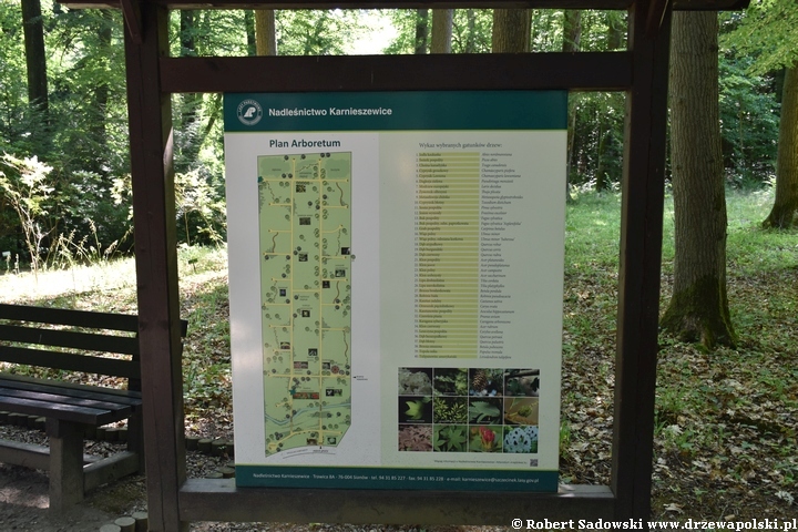 Arboretum Karnieszewice