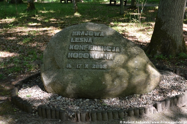 Arboretum Karnieszewice