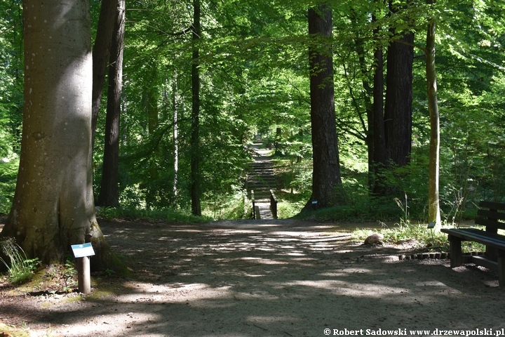 Arboretum Karnieszewice