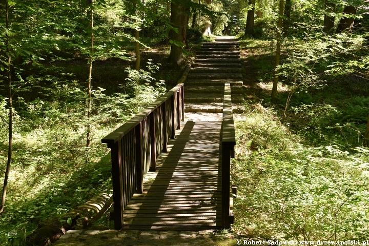 Arboretum Karnieszewice