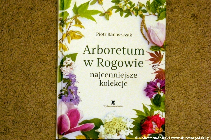 Arboretum w Rogowie najcenniejsze kolekcje