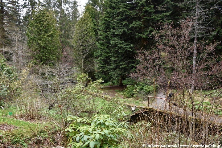 Arboretum w Lądku Zdroju